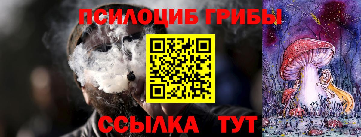Галлюциногенные грибы мицелий Дивногорск