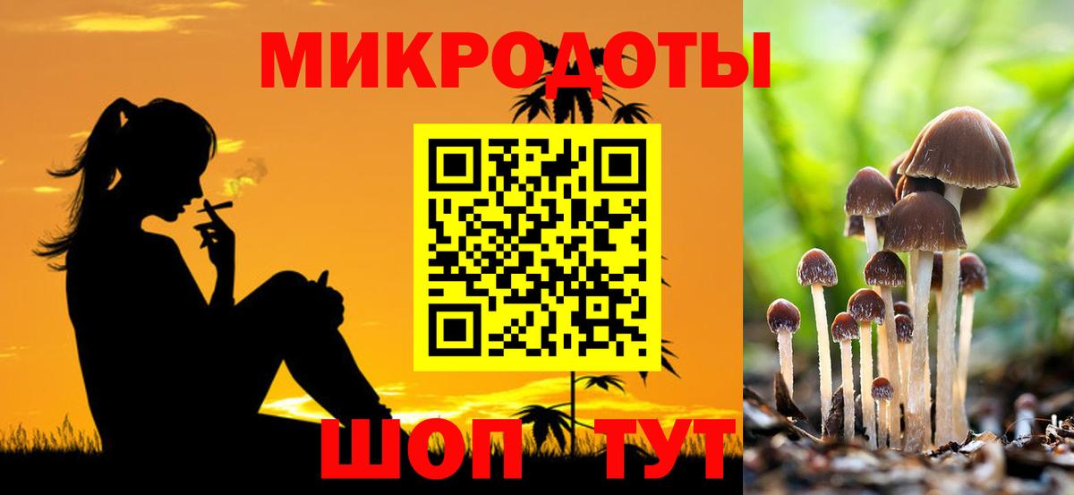 Галлюциногенные грибы Psilocybe  Вход с VPN  Дивногорск  Псилоцибиновые грибы прущие грибы 